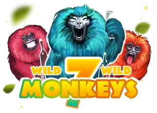 7 Monkeys lava1688